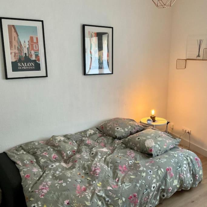 Appartement Hyper Centre Climatise Salon-de-Provence Bagian luar foto
